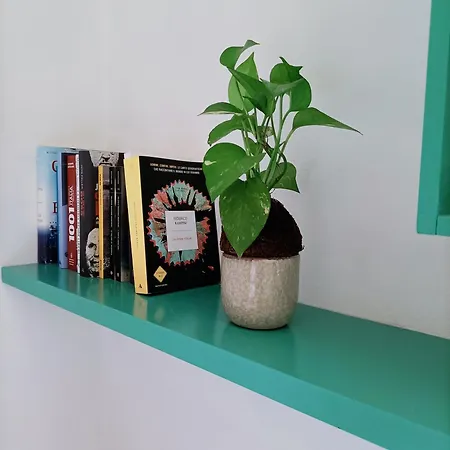 La Casa Di Vicky Appartamento